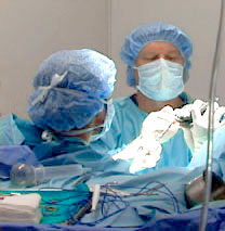 Dr. Conrad and Dr. Wendelburg performing paw repair surgery