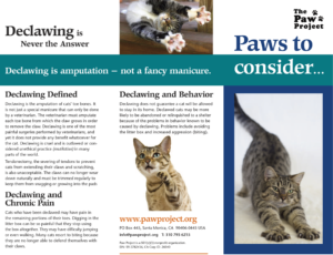 Animal Welfare Organization - The Paw Project's Resources