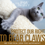 poster_pawprojectmovie_protect_right_to_bear_claws
