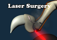 Laser surgery has no benefits for cats