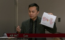 Assemblymember Lee at Senate Committee Hearing